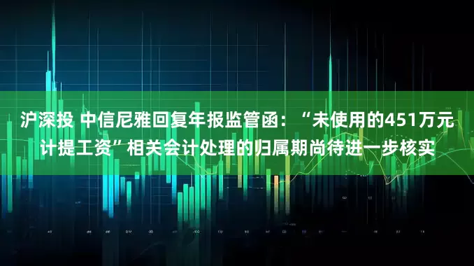 沪深投 中信尼雅回复年报监管函：“未使用的451万元计提工资”相关会计处理的归属期尚待进一步核实