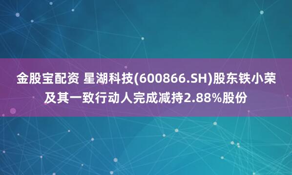 金股宝配资 星湖科技(600866.SH)股东铁小荣及其一致行动人完成减持2.88%股份
