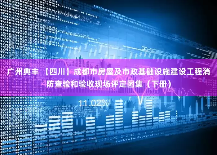 广州典丰 【四川】成都市房屋及市政基础设施建设工程消防查验和验收现场评定图集（下册）