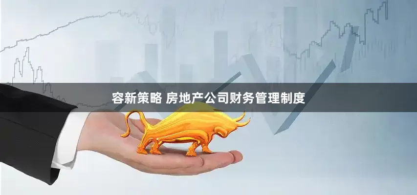 容新策略 房地产公司财务管理制度